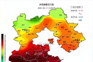 网记：拒绝2个首轮换DFS的报价后 篮网不再接收其他类似报价